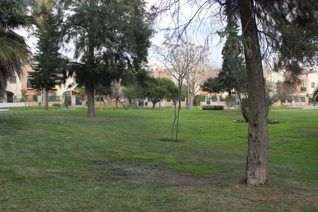 Apartamento La Venencia Jerez de la Frontera Eksteriør bilde